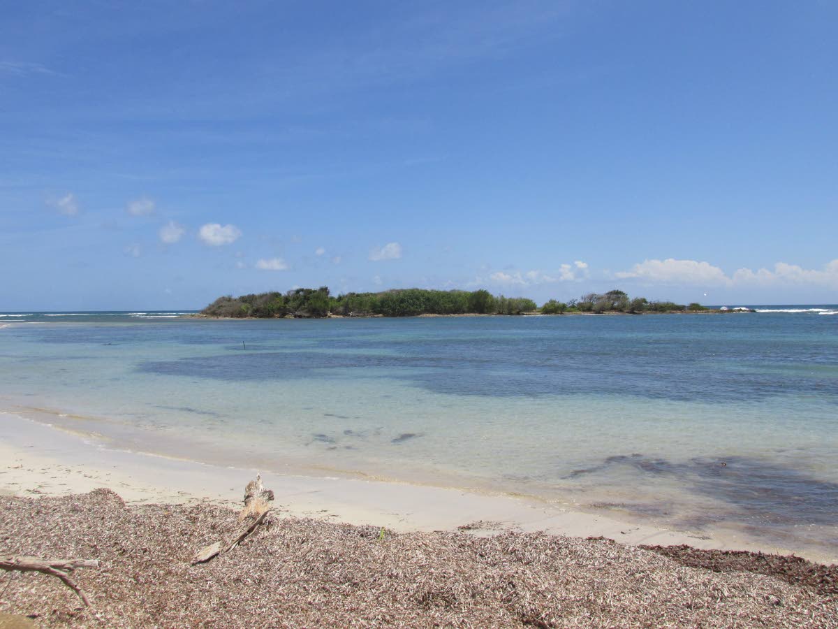 
‘Treasure Island’, a cay off the coast of Old Pera in St Thomas.