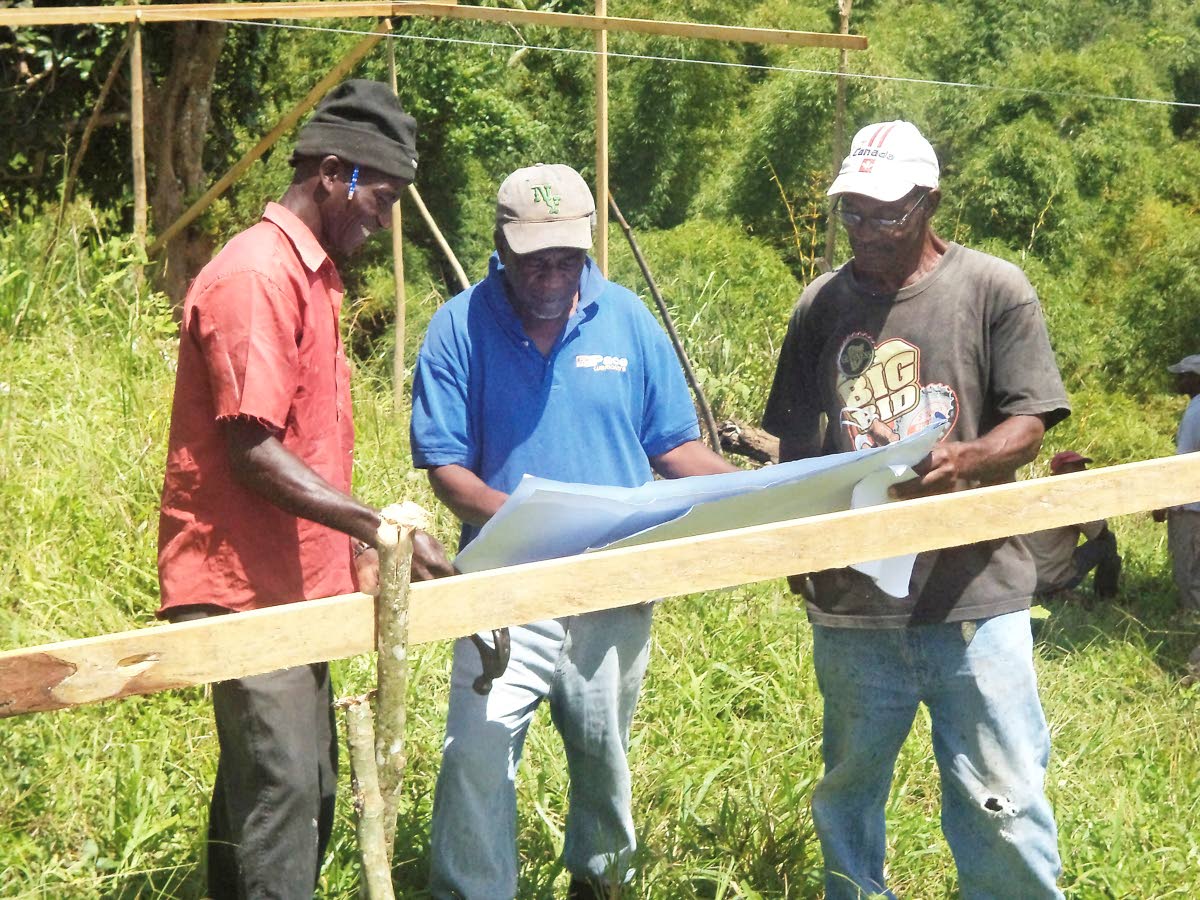 Non-pharmacological interventions such as cognitive training, physical activity and social engagement that support mental function and overall well-being, can help slow cognitive decline.