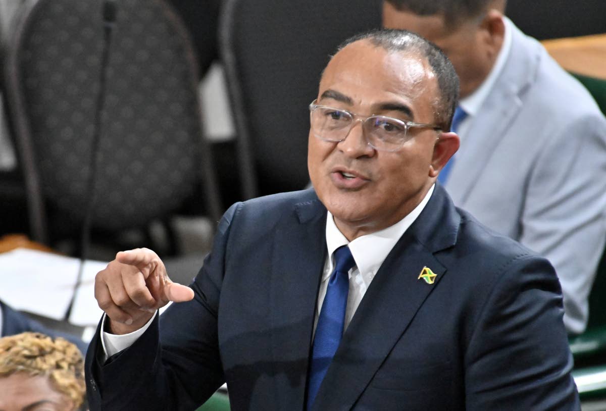 Christopher Tufton, minister of health and wellness.