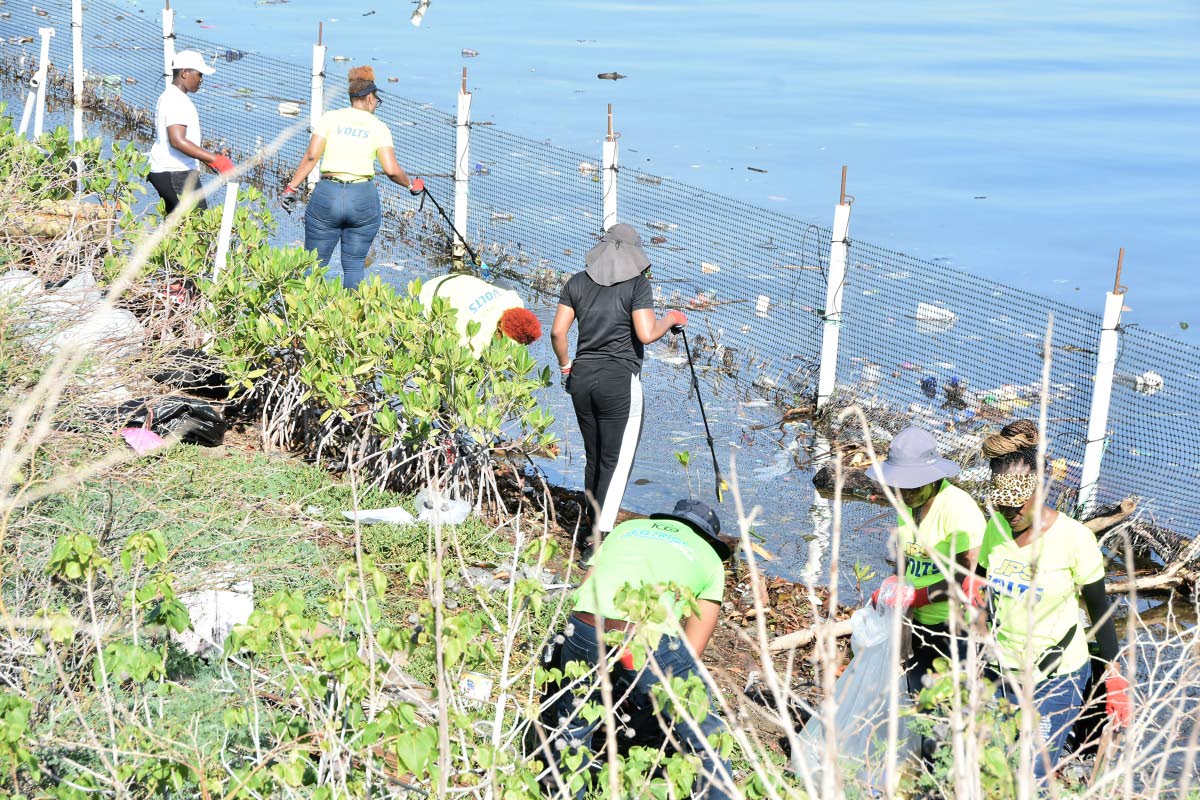 JPS Volunteers On Location To Serve (VOLTS) at Sturridge Park mangrove site along the Palisadoes strip in Kingston,