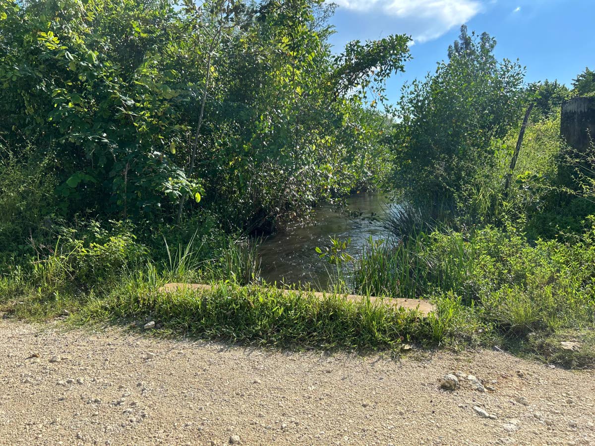 Margaret Bridge, a problematic culvert which overflows during heavy rainfall.