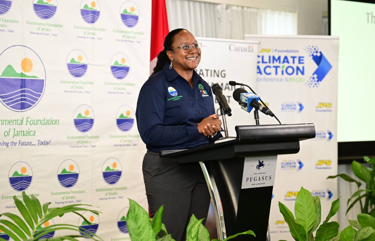 Jamaica Urban Solutions for the Environment Project Manager Joni Jackson addresses the initiative’s launch at The Jamaica Pegasus hotel in New Kingston on Thursday.