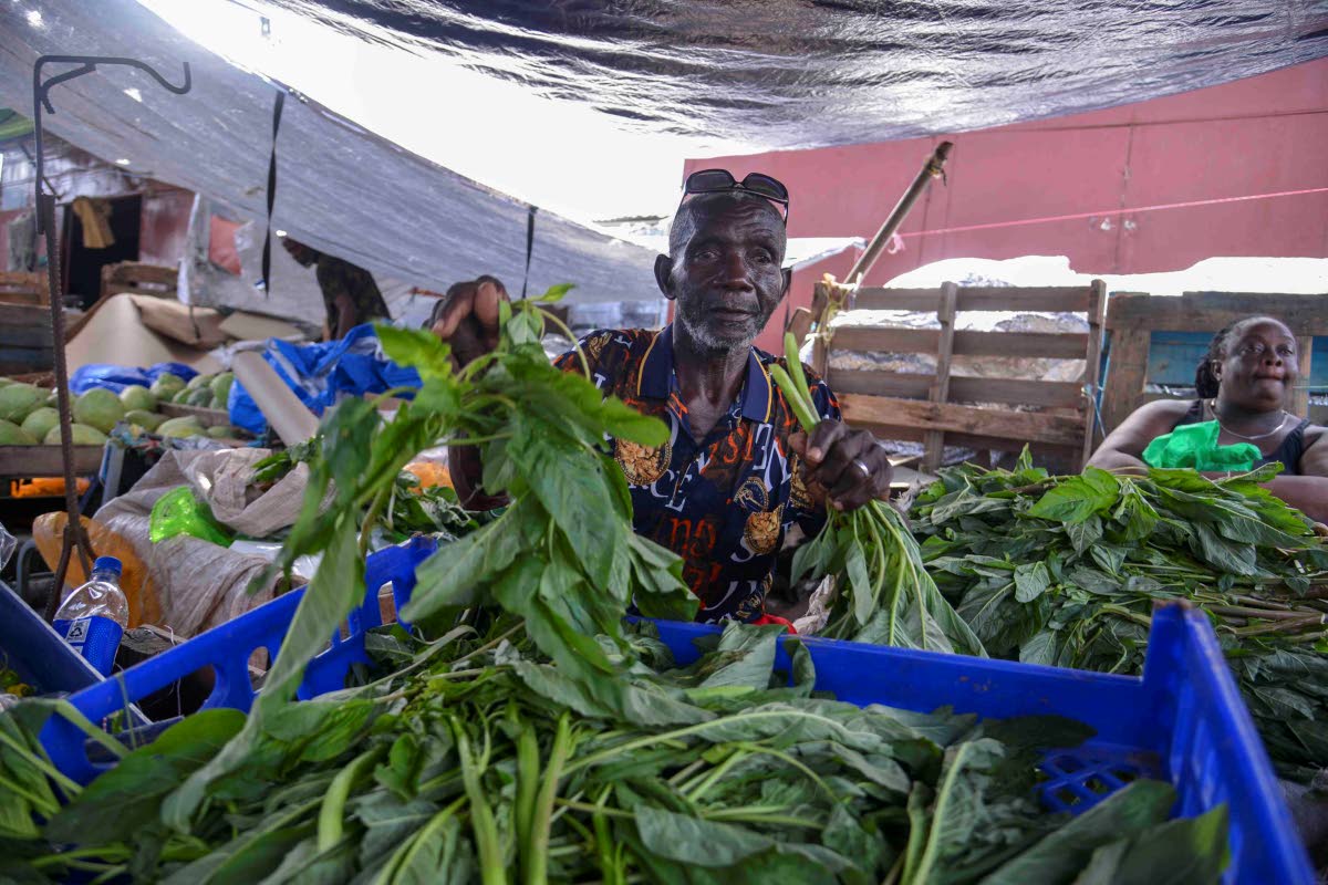 Markie Brown, a callaloo farmer at Coronation Market, puts together a bundle of callaloo yesterday as Jamaica prepares for Tropical Storm Melissa. 
