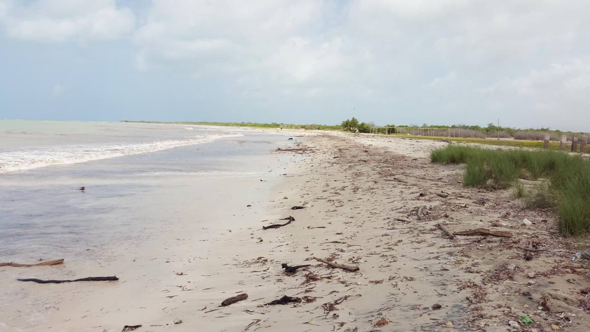 Undated photo of a section of the undated) photo : Jackson Bay Beach in Portland Cottage in southern Clarendon. 