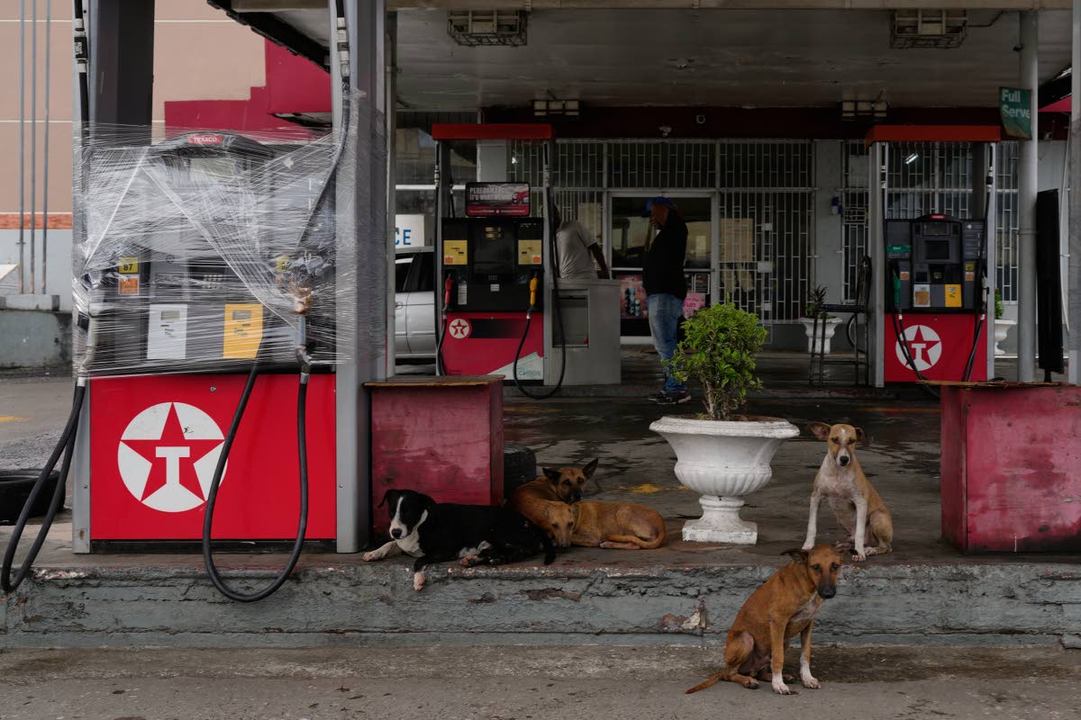 Fuel pumps are covered in plastic at a gas station ahead of the arrival of Hurricane Melissa in Kingston, Jamaica, on Sunday, October 26.