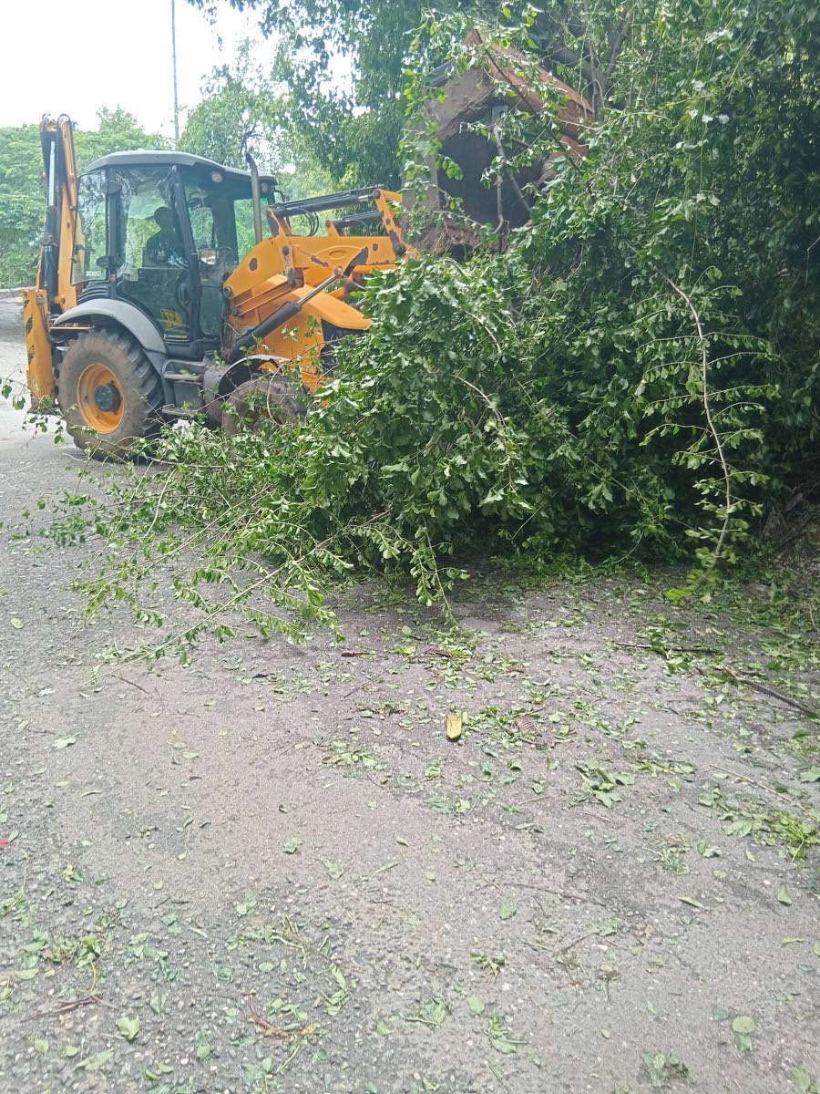 A backhoe clears fallen branches and debris along a roadway in Damhead district, near the Bog Walk Gorge, following Hurricane Melissa.