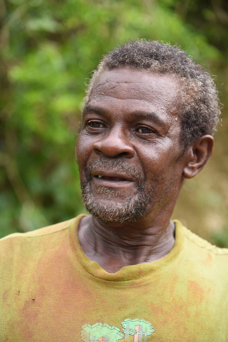 Above: Yam farmer Eli Wallace, of Mahagony Hall, Trelawny, believes will take at least nine months before the sector fully recovers from Hurricane Melissa.