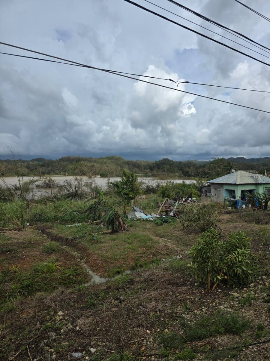 A section of Bog Hole in Clarendon.