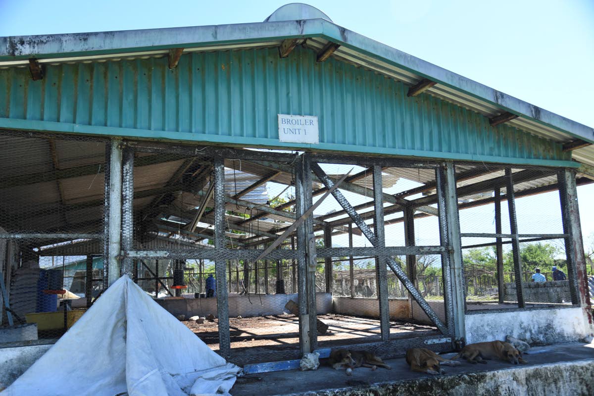 Sydney Pagon STEM Academy Principal Milbert Miller reported the loss of approximately 1,400 broiler birds, 450 layer birds, and 16 young pigs.