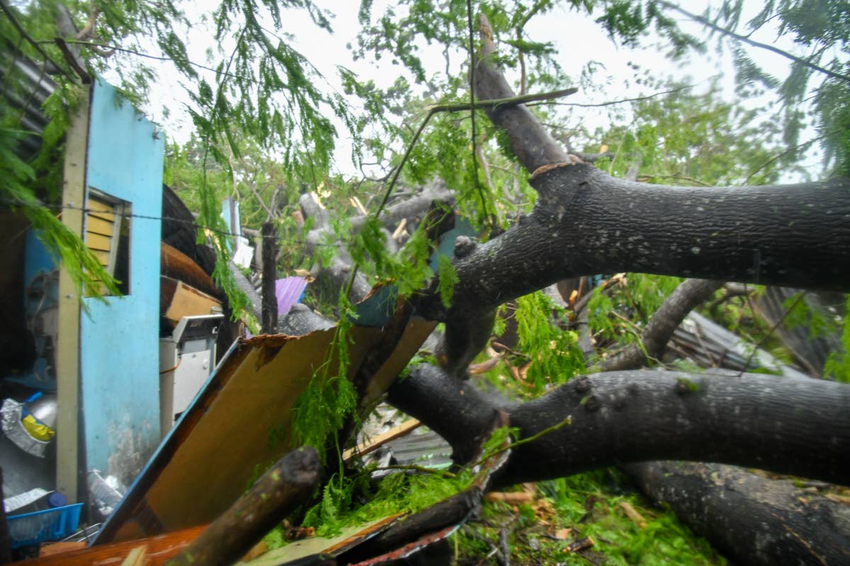 A house in Portmore, St Catherine that was damaged after it was hit by a fallen tree during Hurricane Melissa.