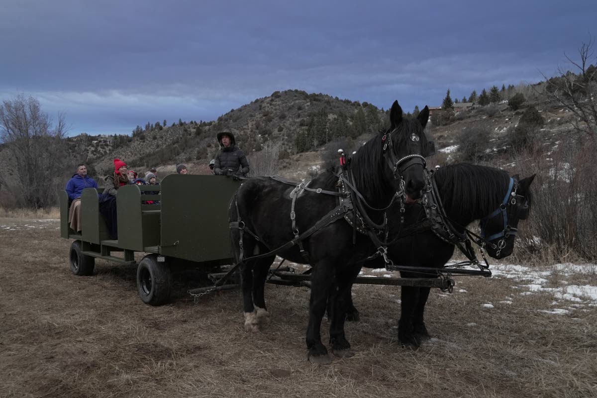 Tourists ride in a horse-pulled wagon in lieu of a sleigh Thursday, Dec. 18, 2025, in Edwards, Colo. 