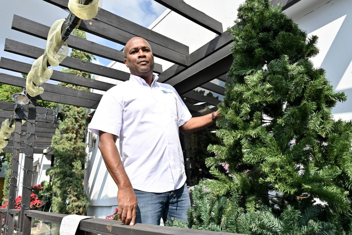 Stephen Dawkins, who leads HomeUp’s outdoor living offerings, stands among the store’s Christmas trees.