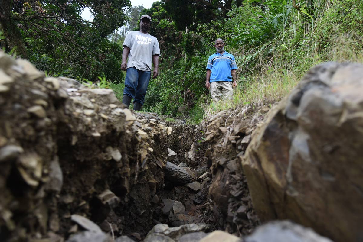 Jimmy Beckford (left) and Donald Berry check on the farm road leading to their coffee farms in Spring Hill, Portland, that was extensively damaged during the passage of Hurricane Melissa. They say the roads were good enough for a car to travel on to reach 
