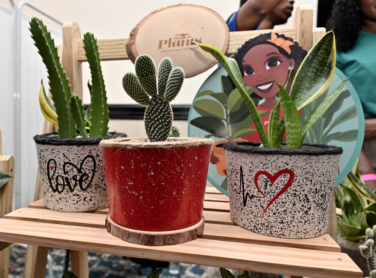 Each plant comes in a decorative keepsake pot, thoughtfully designed to celebrate and honour you and your loved ones.