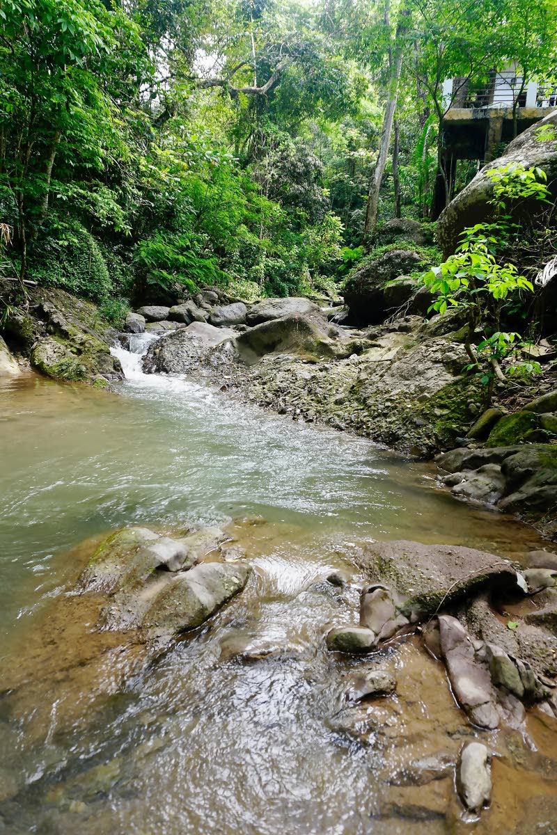 Part of the house can be seen incredibly on stilts, almost in the river.