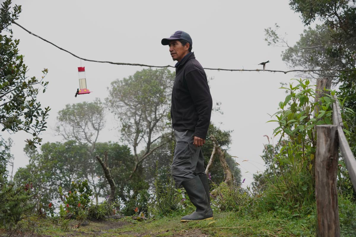 Wilson Hipo, who works at the Yanacocha Reserve, walks past hanging bird feeders.