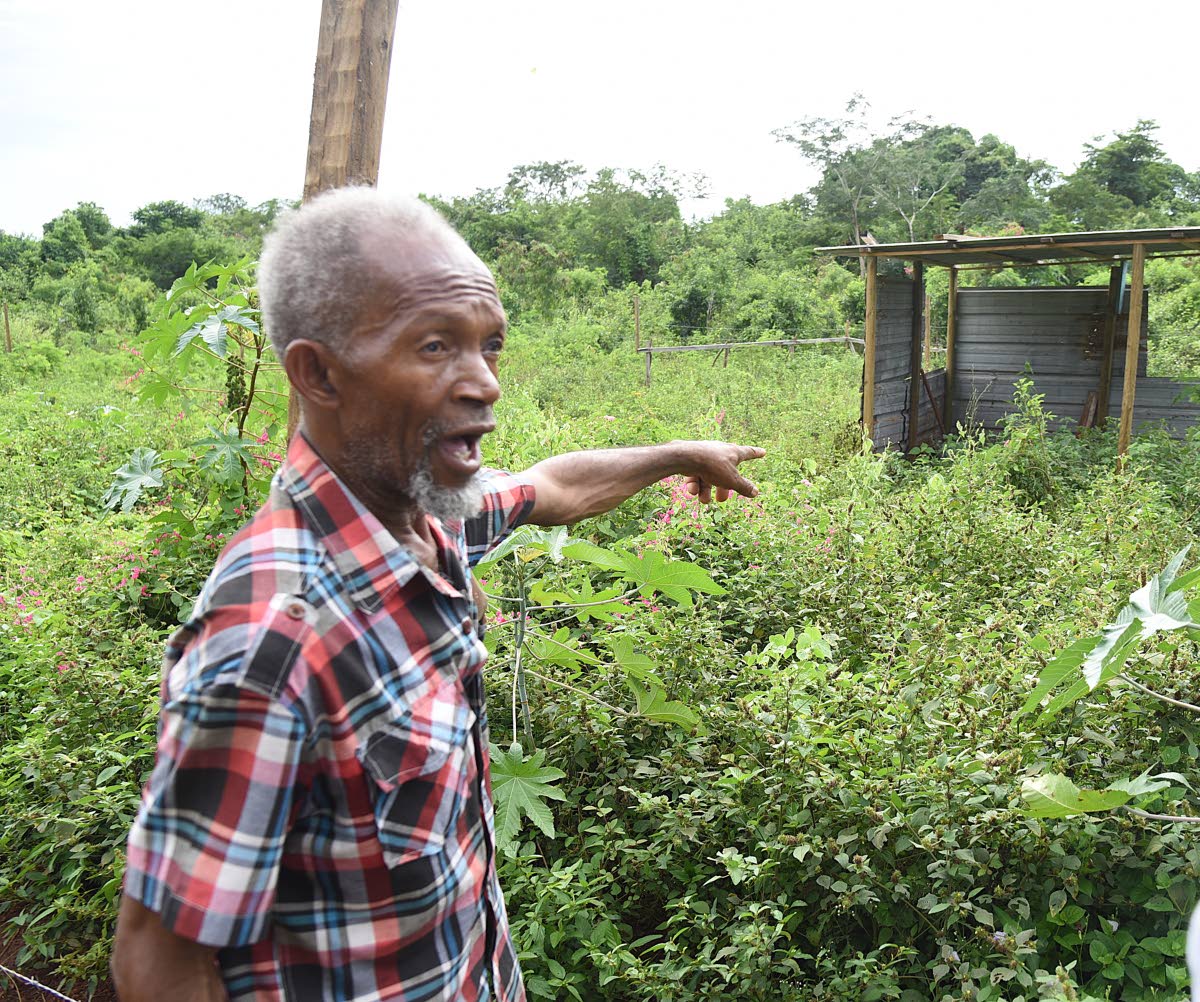 Sixty-eight-year-old Willie Rowe points to a section of land that he bought from the National Housing Trust and is now believed to have been fenced off by another state entity.
