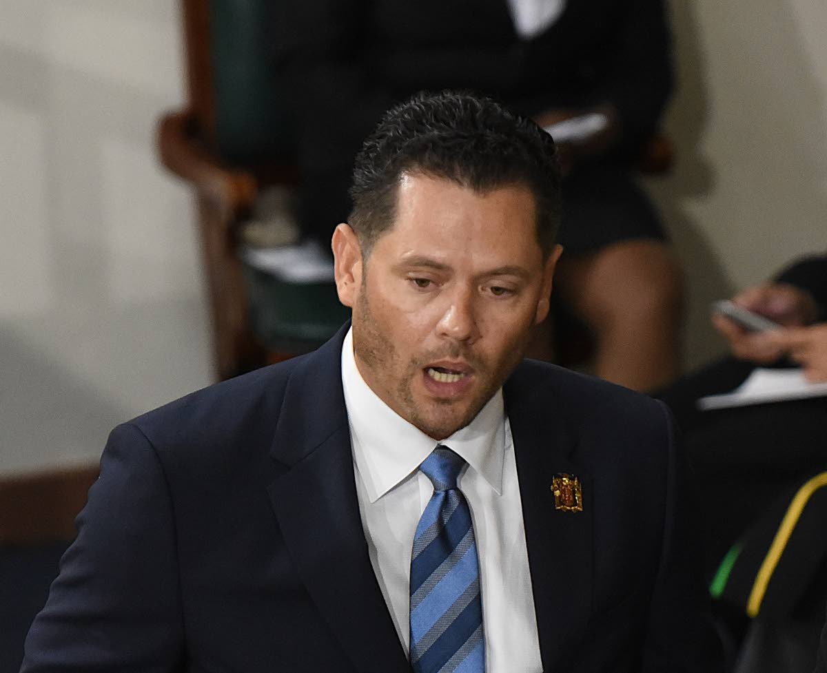Government Senator Christian Tavares-Finson