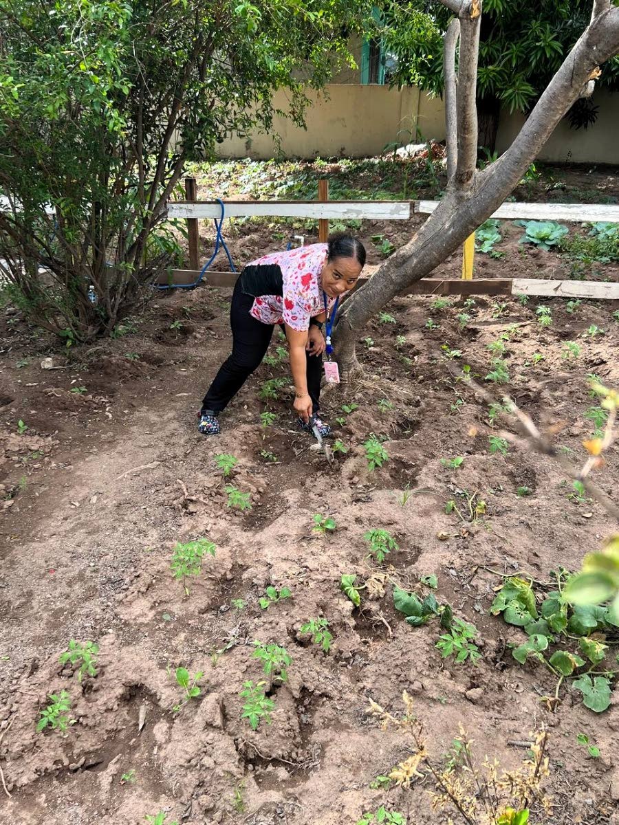 Nurse Karen Hobbs tends to the kitchen garden at Safe Haven Nursing Home.