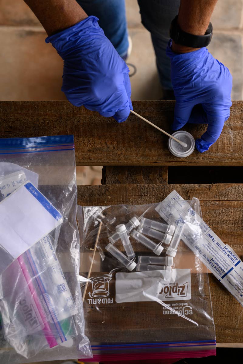 This image provided by Bat Conservation International shows citizen scientist Linda Moore using an eDNA collection kit to swab hummingbird feeders at a home in Silver City, N.M., Sept. 5, 2025. 