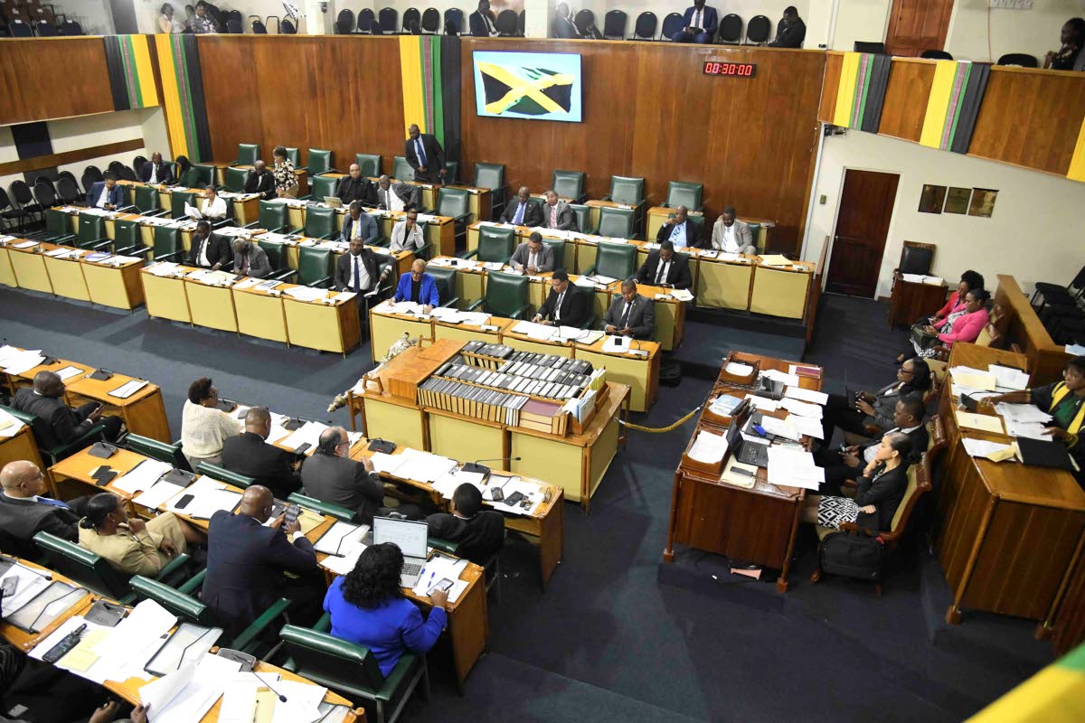 This February 10 photo shows sitting of the house of representatives.