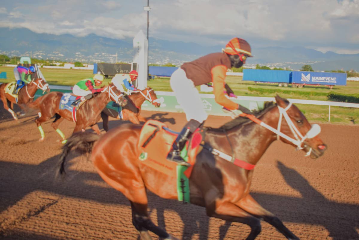 MONEY MARKET (right), ridden by Dane Dawkins, wins the five-furlong straight Reggae Month Trophy in a zippy 57.2 at Caymanas Park yesterday. 