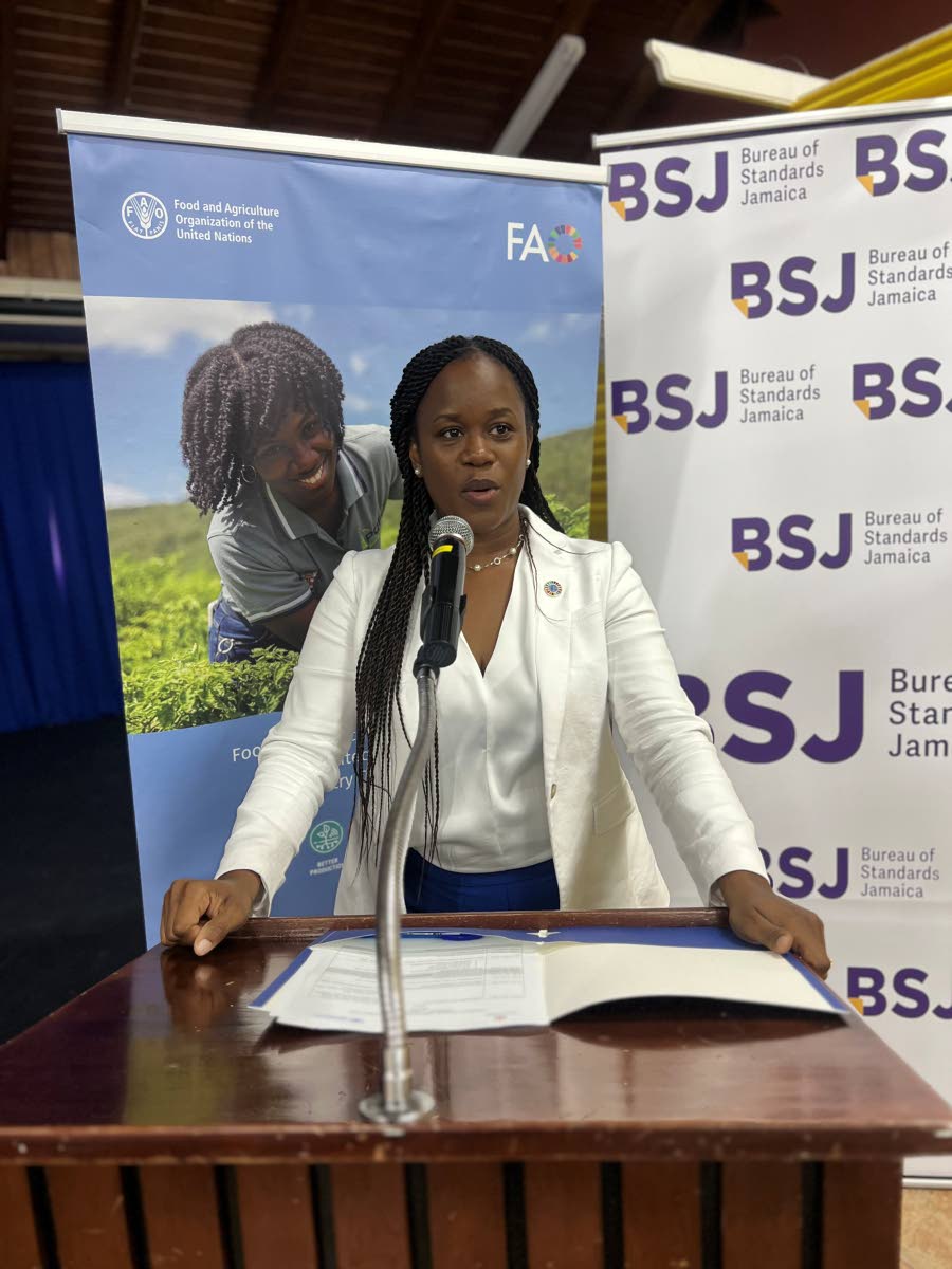 Assistant FAO Representative-Programmes Roslyn Jackson-Richards brings remarks at the visioning workshop for Jamaica’s National Agriculture Development Plan.