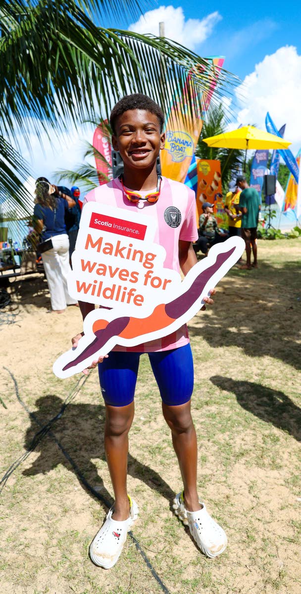 Meanwhile, Joel Sinclair of Sharks Swim Club, does his bit for wildlife advocacy.