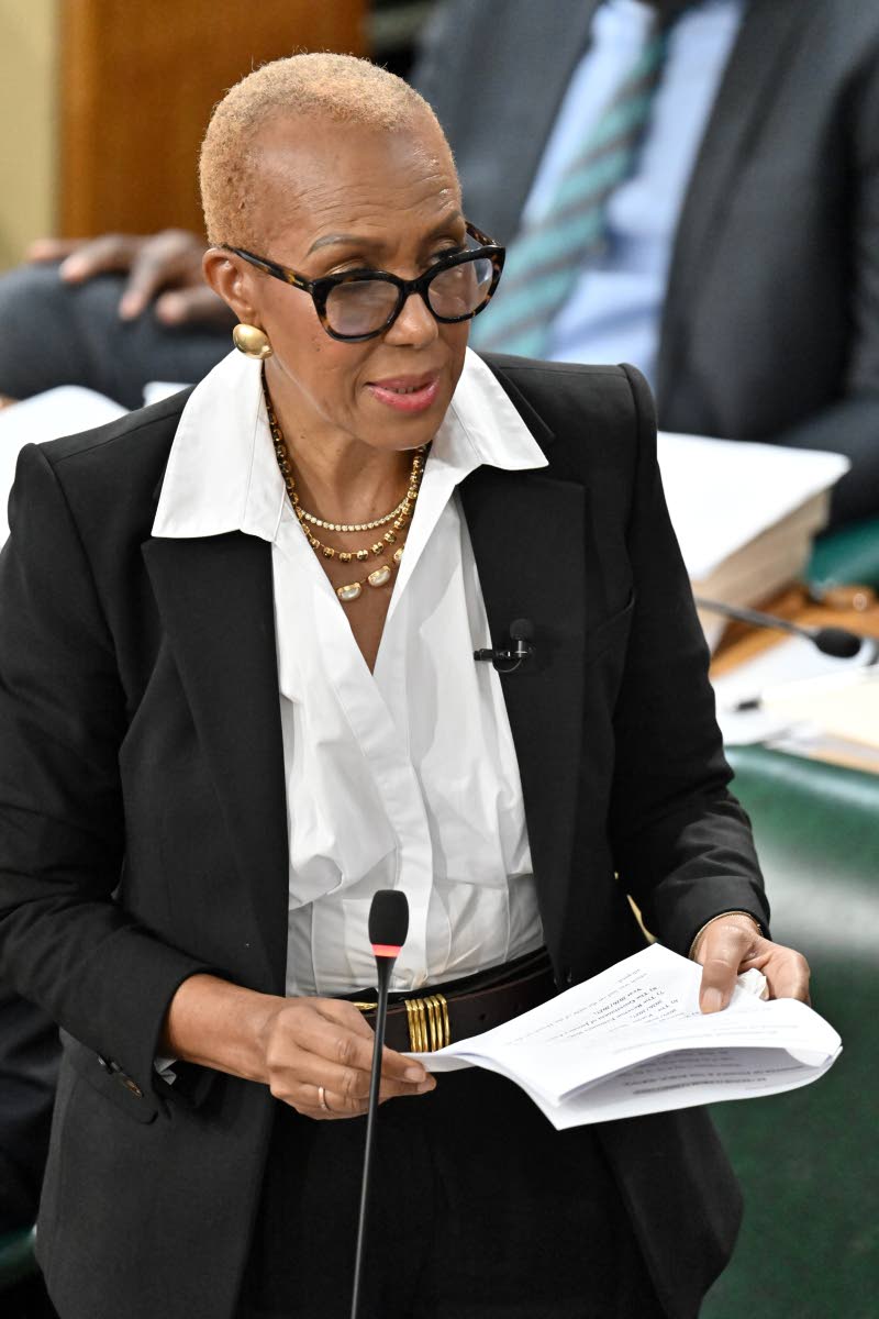 Minister of Finance and the Public Service at the opening of the 2026-2027 Budget Debate in the House of Representatives on March 10, 2026. 