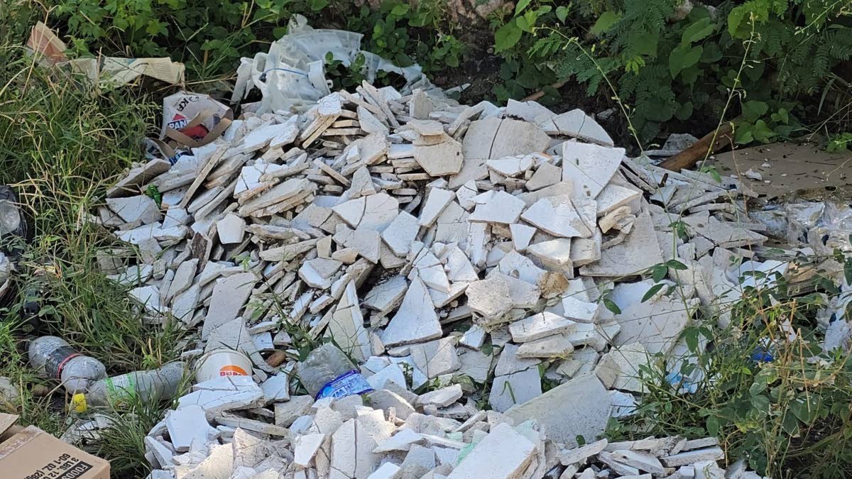 Garbage pileup in the vicinity of Waltham Park Road.