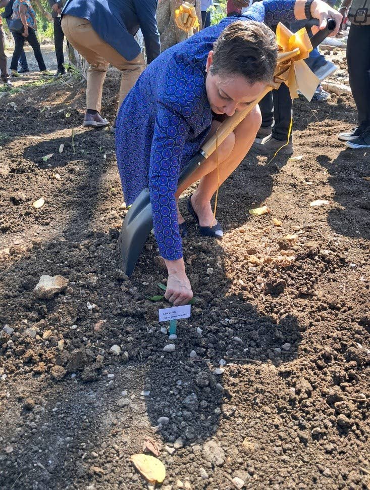 Senator Kamina Johnson Smith plants Leaf of Life at the African Kitchen Garden at Seville Heritage Park.