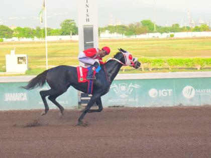 SUPERNATURAL POWER, ridden by Raddesh Roman, wins The Thunderbird Trophy over seven furlongs at Caymanas Park on Saturday, September 13.