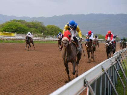 MOJITO, ridden by Dane Dawkins, wins the 30th running of the PRINCE CONSORT STAKES, a three-year-old Graded Stakes for colts and geldings over seven furlongs at Caymanas Park on Sunday April 9, 2023.