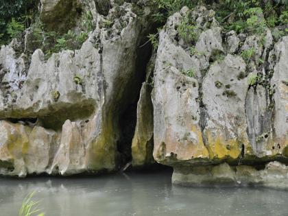 The river flows by Pim Rock in the Bog Walk Gorge, St Catherine.