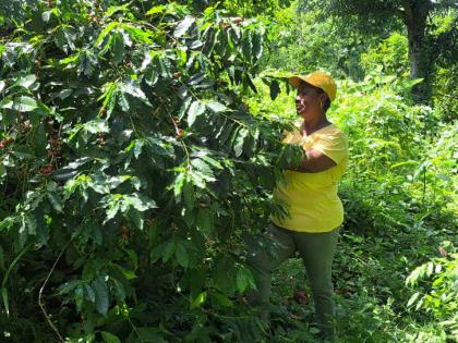 Portland coffee farmer Dian Ellis