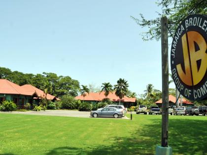 A section of the Jamaica Broilers Group complex in St Catherine.