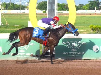 BOOTYLICOUS, ridden by Reyan Lewis, wins an overnight stakes race over five furlongs straight at Caymanas Park on July 14, 2024.