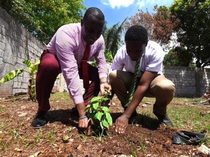 Lynton Weir, principal of Old Harbour High School, assists Antoine Richards to plant a star apple tree in the school garden during a tree planting exercise recently.