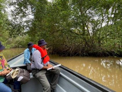 Mangroves serve as a nature-based solution to reduce flooding risks. 