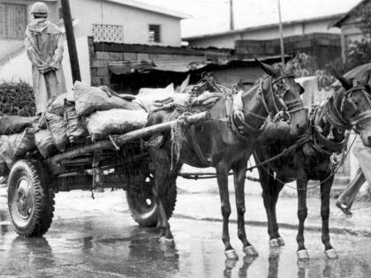 AS RAINS PELTED the city, a man clad in rain cloak and hat stands atop his dray piled with bags of coal and contemplates his next move.