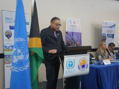 Christopher Corbin, coordinator for the UNEP Cartagena Convention Secretariat and Caribbean Environment Programme, addressing delegates at COP18 earlier this week.