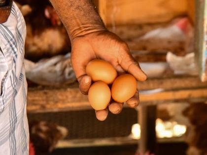 The country struggled with a shortage of eggs during the last Christmas season when the demand for the product increased. 