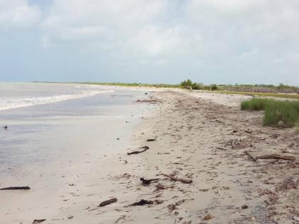 Undated photo of a section of the undated) photo : Jackson Bay Beach in Portland Cottage in southern Clarendon. 