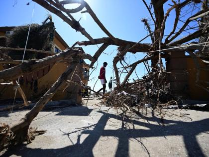 A man passes a fallen tree on a property along Crane Road in Black River, St Elizabeth.