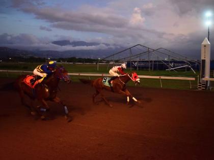 PRINCE AMAAN (right), ridden by Robert Halledeen, wins the second running of the Racehorse Aftercare Trophy ahead of CHAMPION BUBBLER (Jajay Sooko) at Caymanas Park on November 22.