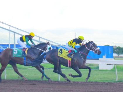 DIGITAL ONE, ridden by Dane Dawkins, wins the the Alsafra Trophy ahead of SUPREMASI (Dick Cardenas) at Caymanas Park yesterday.