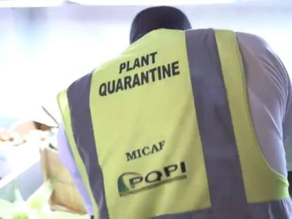 A plant quarantine inspector.