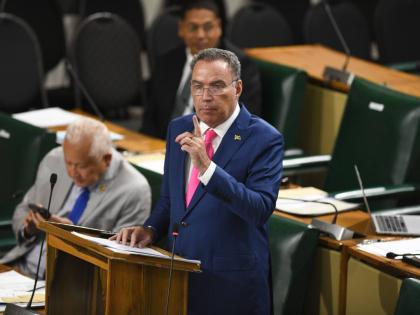 Minister of Transport Daryl Vaz speaking in the House of Representatives on November 25, 2025.