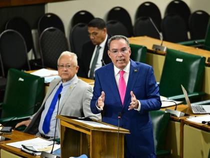 Minister of Energy, Transport and Telecommunications,  Daryl Vaz, making a statement to the House of Representatives on Tuesday, November 25, 2025.