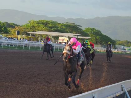 
RIDEALLDAY, ridden by United States hall of fame jockey. Javier Castellano, winning the fourth running of the Mouttet Mile over eight furlongs at Caymanas Park on December 6.
